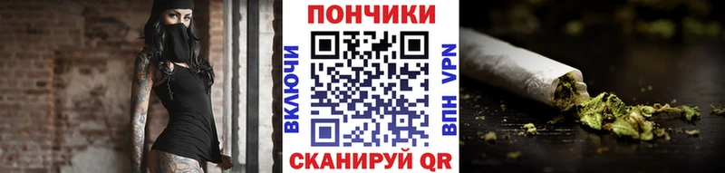 A PVP Талица