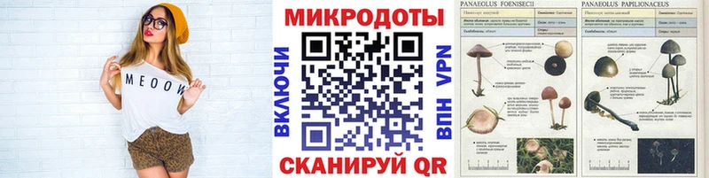 ссылка на мегу ТОР Талица Галлюциногенные грибы Cubensis