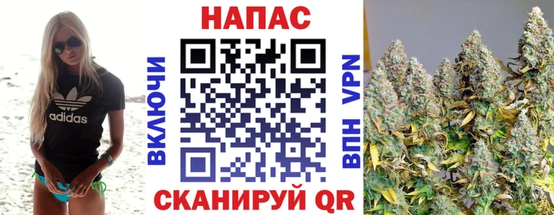 Марихуана план  Талица 
